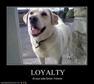 funny-dog-pictures-loyalty-forever.jpg