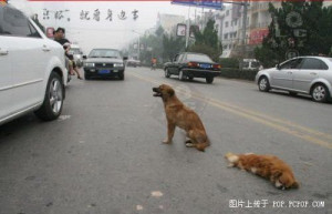 Good Stories & Quotes