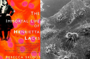 How Rebecca Skloot Built The Immortal Life Of Henrietta Lacks