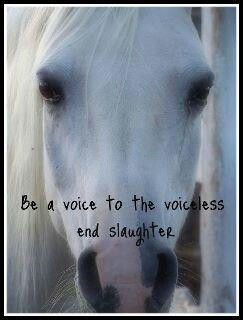 Pinned by Wonderful Photos for All! & Powers Health