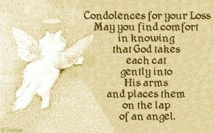 condolences for your loss of your cat