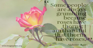 ... -thorns-I-am-thankful-that-thorns-have-roses-Alphonse-Karr-quote.jpg
