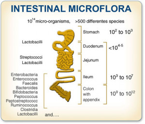 Sebastien Noel is one of my favourite resources. He makes the science ...