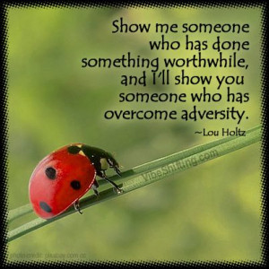 ... quotes motivation quotes ladybird beetles ladybugs holtz quotes quotes