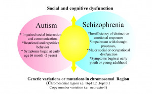 brain with schizophrenia