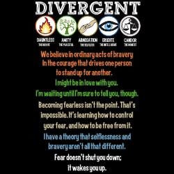 divergent_symbols_quotes_ipod_touch_5_case.jpg?height=250&width=250 ...