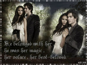 Damon and Elena Book Quotes