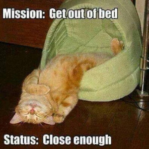 Mission Get out of bed – cat meme