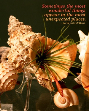 Sometimes The Most Wonderful Things