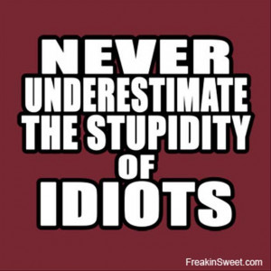 never underestimate the power of stupid people