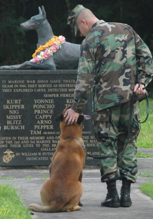 _Doberman,_Military_Working_Dog_(MWD),_World_War_II_Memorial,_War_Dog ...