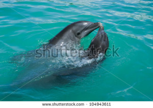 Funny Quotes Contact Dmca