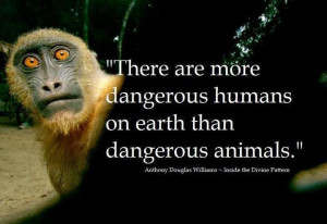 There are more dangerous humans on earth than dangerous animals.