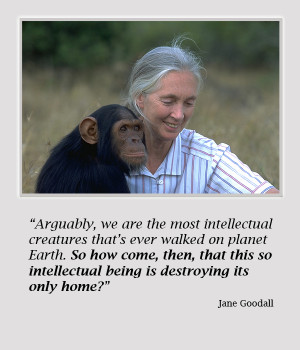 jane goodall quote 2 New Films: Occupy Love And Surviving Progress
