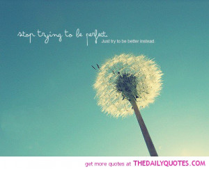 stop-trying-to-be-perfect-quote-pic-sayings-quotes-pictures.jpg