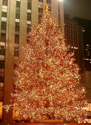 ... tree 219x300 Rockefeller Center Christmas Tree 2014: 5 Things to Know