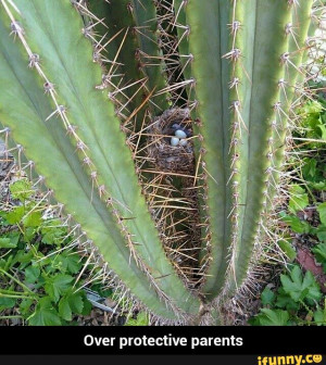 Over protective parents