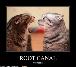 Root Canal Funny Memes