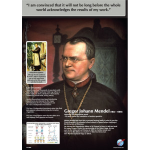 Gregor Mendel Quotes