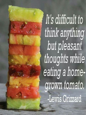 Home grown tomatoes are the best!