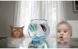 Baby Cat & Baby Boy | 1280 x 800 | Download | Close