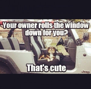 Jeep wrangler quotes / dogs