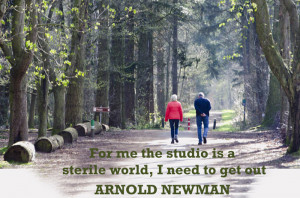 https://arnoldnewman.com