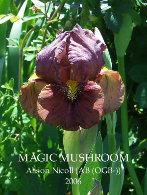 Funny Quotes Contact Dmca