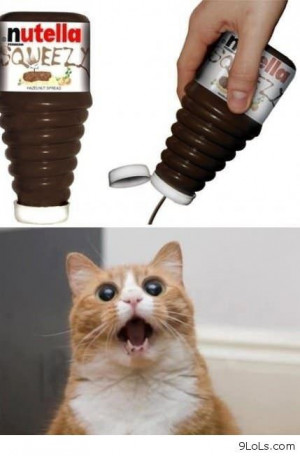 Funny cat and Nutella - Funny Pictures, Funny Quotes, Funny Videos ...