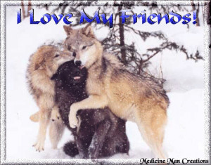 Native American Wolf Sayings Wolves friendship
