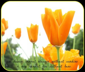 Flower Cannot blossom without Sunshine ~ Flowers Quote