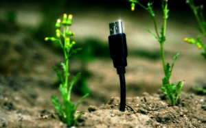 USB Plant | 1280 x 800 | Download | Close