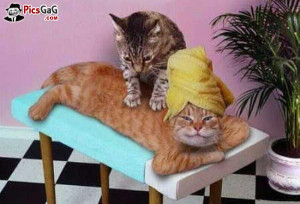 massage images with quotes massage jokes quotes massage ...