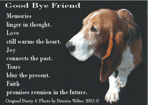 Good Bye Friend