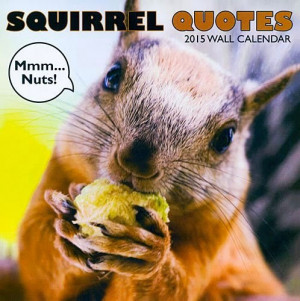 Squirrel - Quotes 2015 Calendar