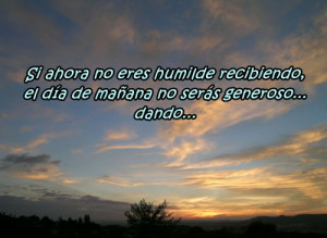 ojos las frases m s bonitas frases con im genes de perros frases de