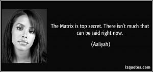 The Matrix is top secret. There isn't much that can be said right now ...