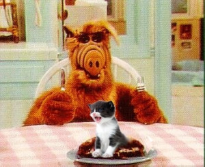 ALF, however, might have been able to get some actual pussy too if he ...