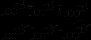 Norethisterone synth.png