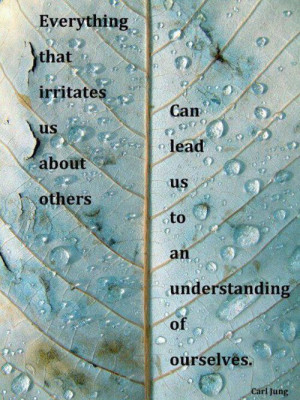 quote:Everything that irritates us about others can lead us to an ...