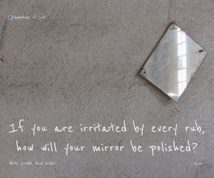 ... irritated by every rub, how will your mirror be polished? ~Rumi Quotes