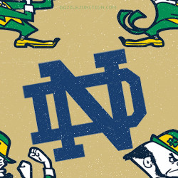 Notre Dame Fighting Irish twitter theme ♥ Notre Dame Fighting Irish ...