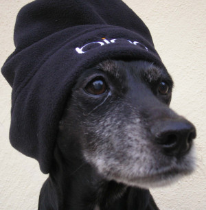 Swag Boys With Beanies The swag beanie and taking