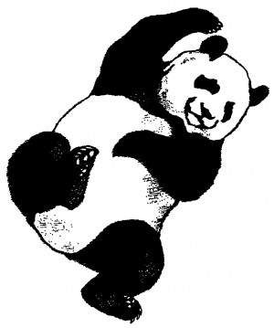 Filed Under Funny Panda