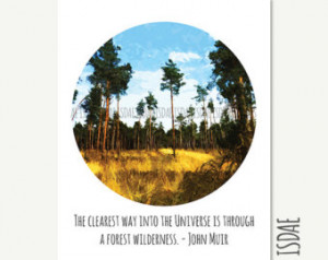 Quote printable, John Muir, forest, inspirational quote, nature ...
