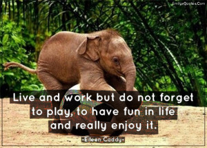 Live-and-work-but-do-not-forget-to-play-to-have-fun-in-life-and-really ...