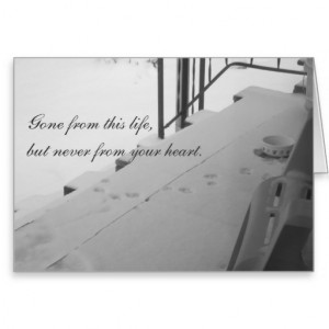 Pet Loss Sympathy Greeting