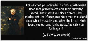 ve watched you now a full half-hour; Self-poised upon that yellow ...
