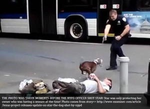 The Lexus project released a statement updating the public on Star the ...