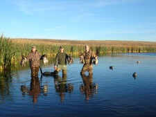 Availability Quote-Reserve Pheasant Camps UGUIDE Pheasant Outlook ...